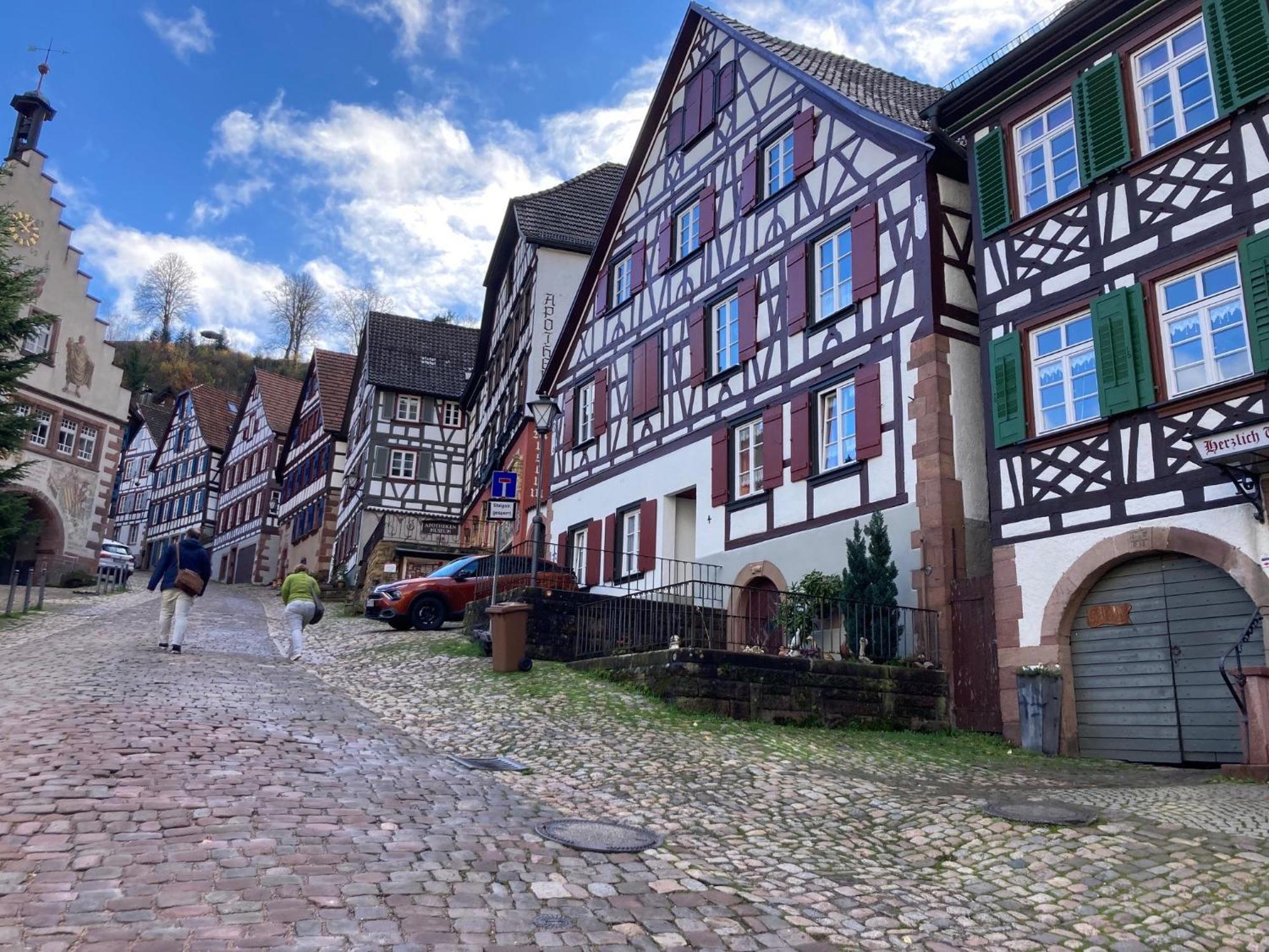 Ferienwohnung Das Nest Schiltach Exterior photo